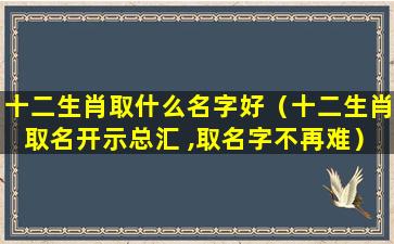 十二生肖取什么名字好（十二生肖取名开示总汇 ,取名字不再难）